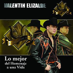 Valentin Elizalde - Lo Mejor Del Homenaje A Una Vida album