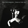 The Waterboys - This Is the Sea альбом