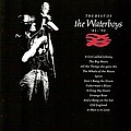 The Waterboys - The Best Of The Waterboys album
