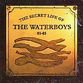 The Waterboys - The Secret Life of the Waterboys 81-85 album