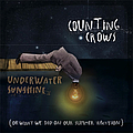 Counting Crows - Underwater Sunshine (or what we did on our summer vacation) album