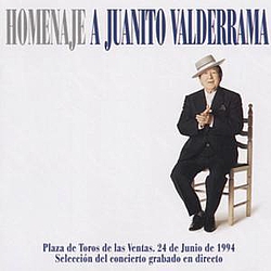 Juanito Valderrama - Homenaje A Juanito Valderrama альбом