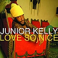 Junior Kelly - Love So Nice album