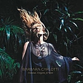 Barbara Carlotti - L&#039;amour, l&#039;argent, le vent album