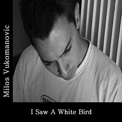 Milos Vukomanovic - I Saw a White Bird - Single album
