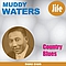 Muddy Waters - Country Blues album
