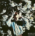 Momus - Tender Pervert album