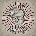 Noekk - The Minstrel&#039;s Curse album