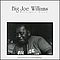 Big Joe Williams - Watergate Blues альбом