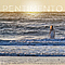 Pentimento - Pentimento альбом