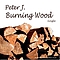 Peter J. - Burning Wood - Single album