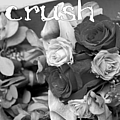 Peter Krason - Crush альбом