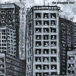 Pineapple Thief - 12 Stories Down album