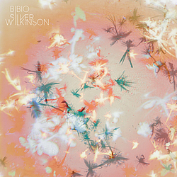 Bibio - Silver Wilkinson альбом
