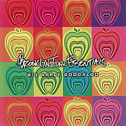 Brooklyn Funk Essentials - Big Apple Boogaloo album