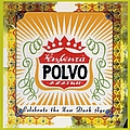 Polvo - Celebrate the New Dark Age album