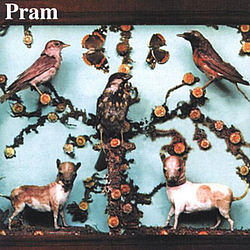 Pram - The Museum Of Imaginary Animals альбом