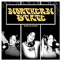 Northern State - Dying in Stereo album