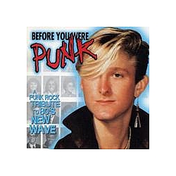 No Use For A Name - Before You Were Punk album