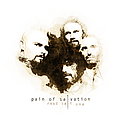 Pain Of Salvation - Road Salt One album