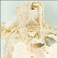 Pale Saints - In Ribbons album