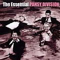 Pansy Division - Essential  альбом