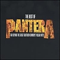 Pantera - The Best of Pantera: Far Beyond the Great Southern Cowboys&#039; Vulgar Hits! альбом