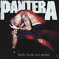 Pantera - Noize, Booze and Tattoos album