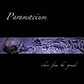 Paramaecium - Echoes From the Ground album