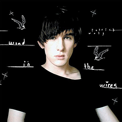 Patrick Wolf - Wind in the Wires альбом