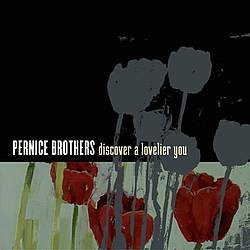 Pernice Brothers - Discover a Lovelier You album