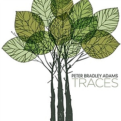 Peter Bradley Adams - Traces album