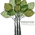 Peter Bradley Adams - Traces альбом