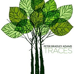 Peter Bradley Adams - Traces (Digital release on 9/22/09) альбом