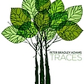 Peter Bradley Adams - Traces (Digital release on 9/22/09) альбом