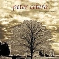 Peter Cetera - Another Perfect World album