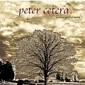 Peter Cetera - Another Perfect World альбом