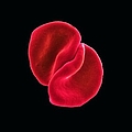 Peter Gabriel - Scratch My Back album
