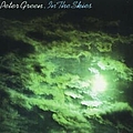 Peter Green - In The Skies альбом
