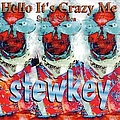 Nazz - Hello It&#039;s Crazy Me album