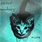 Peter Mulvey - Rain album