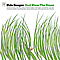 Pete Seeger - God Bless the Grass album