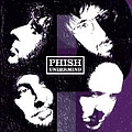 Phish - Undermind альбом