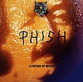 Phish - A Picture of Nectar album