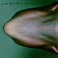 Pig - No One Gets Out of Her Alive album