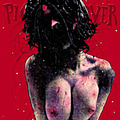 Pig Destroyer - Terrifyer album