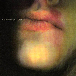 Pj Harvey - Dry album