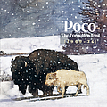 Poco - The Forgotten Trail: 1969-1974 альбом
