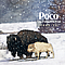 Poco - The Forgotten Trail: 1969-1974 album