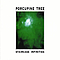 Porcupine Tree - Staircase Infinities album